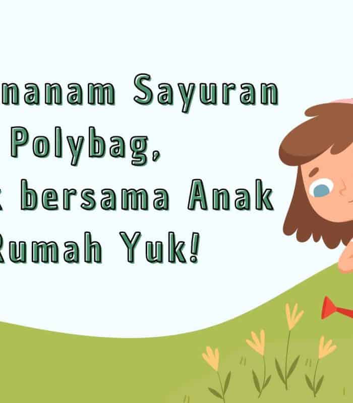 cara menanam sayuran di polybag