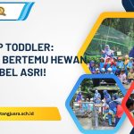 fieldtrip toddler serunya bertemu hewan