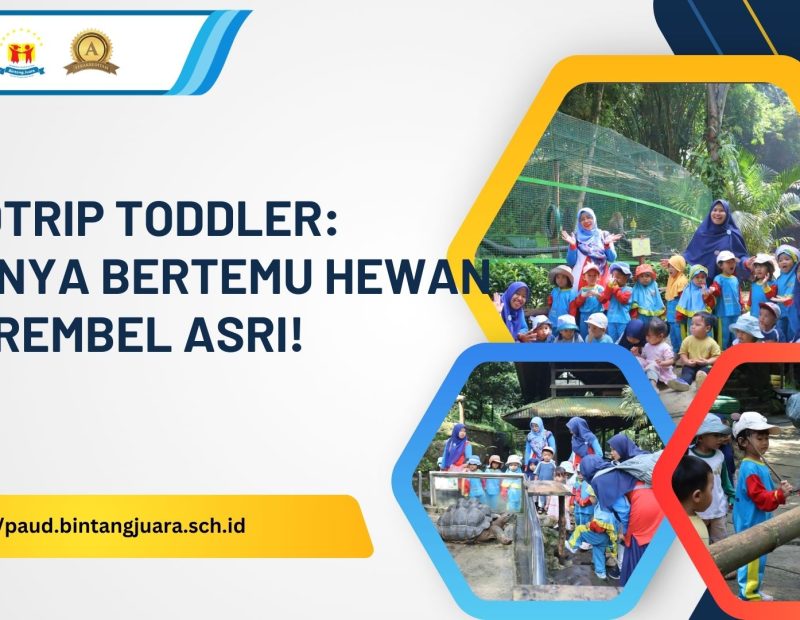 fieldtrip toddler serunya bertemu hewan