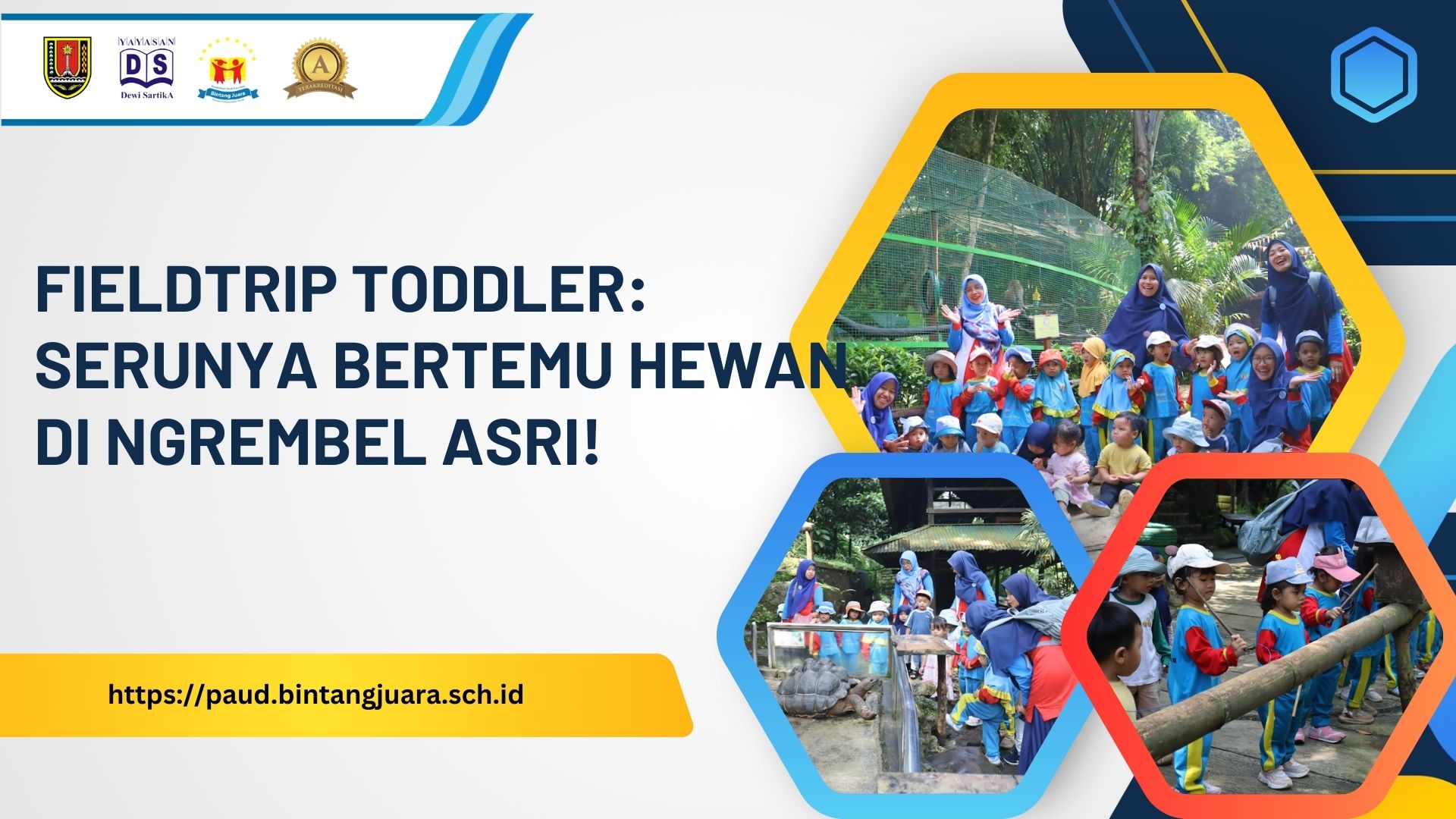 fieldtrip toddler serunya bertemu hewan