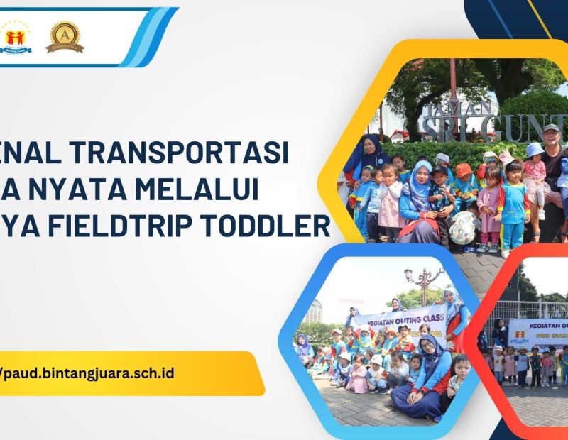 mengenal transportasi
