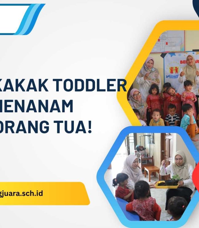 toddler belajar menanam